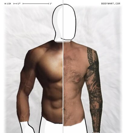Torso Comparison