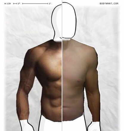 Torso Comparison