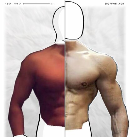 Torso Comparison