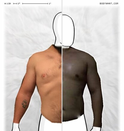 Torso Comparison