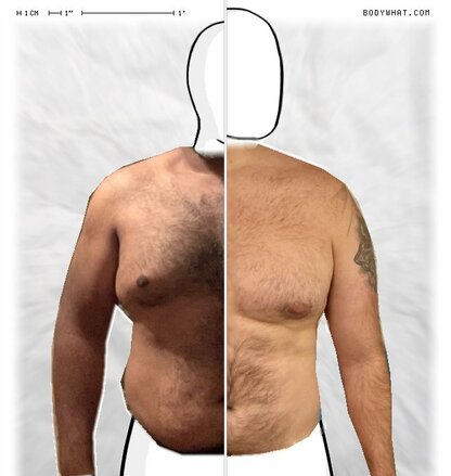 Torso Comparison