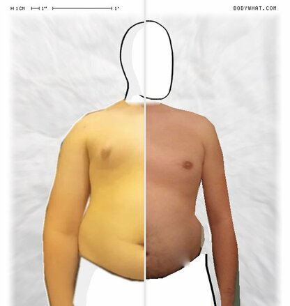 Torso Comparison