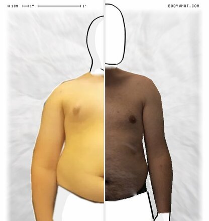 Torso Comparison