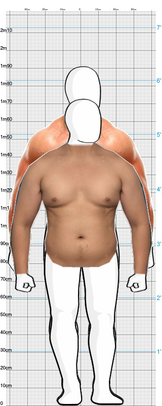 Full Size Comparison