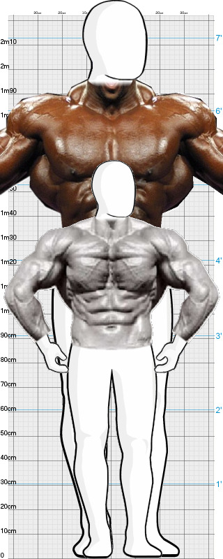 Full Size Comparison