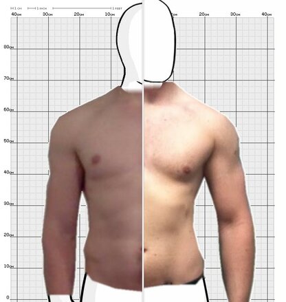 Torso Comparison