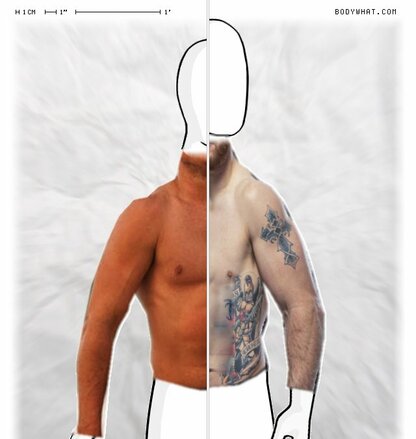 Torso Comparison