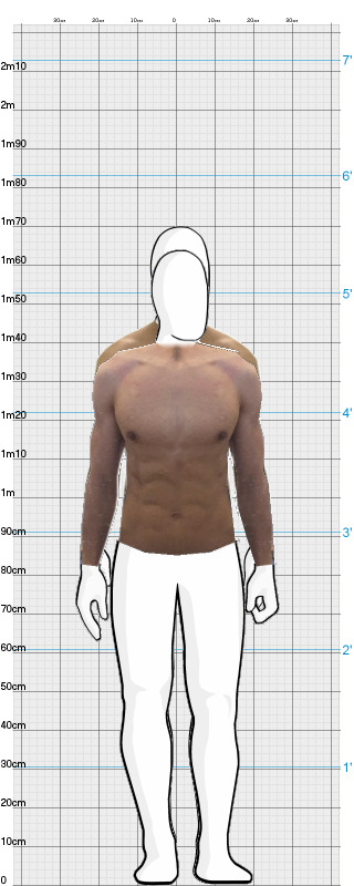 Full Size Comparison