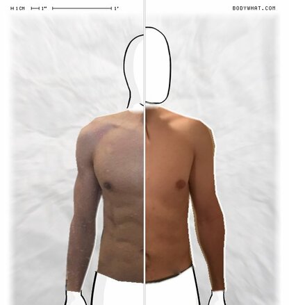 Torso Comparison