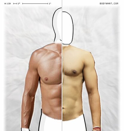 Torso Comparison
