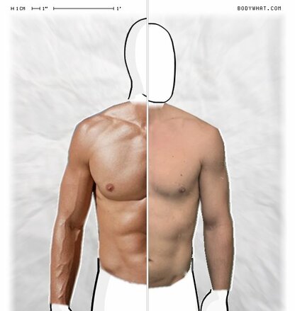 Torso Comparison