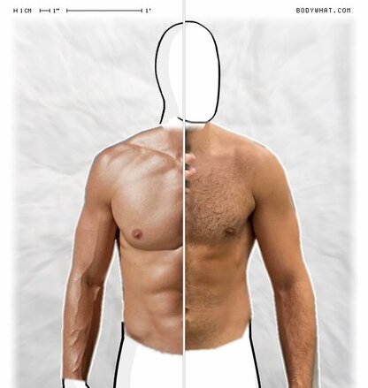 Torso Comparison