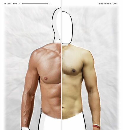 Torso Comparison
