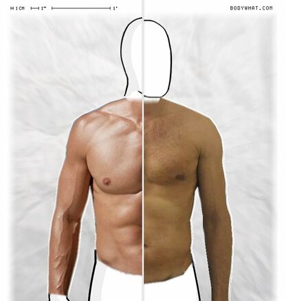 Torso Comparison