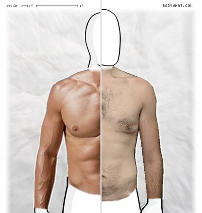 Torso Comparison