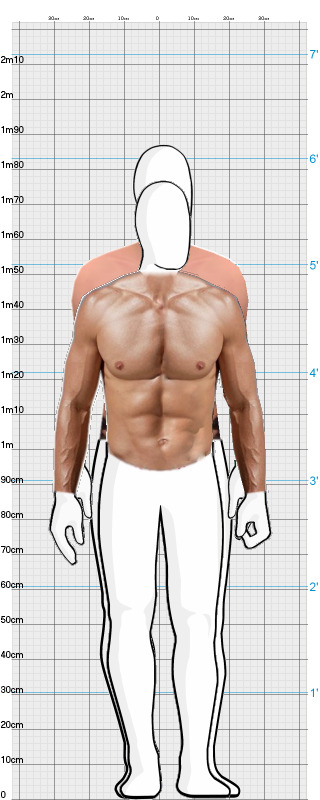 Full Size Comparison