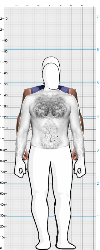 Full Size Comparison