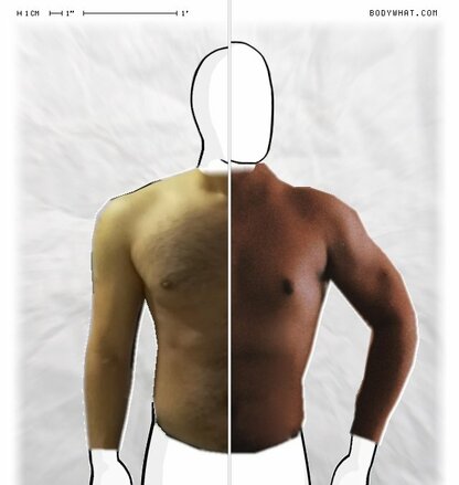 Torso Comparison