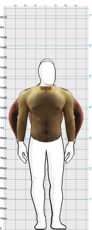 Full Size Comparison