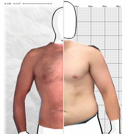 Torso Comparison