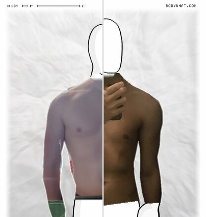 Torso Comparison