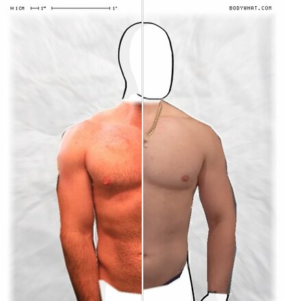 Torso Comparison