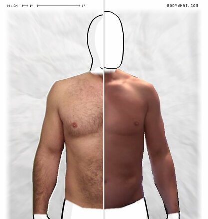 Torso Comparison