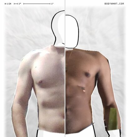 Torso Comparison