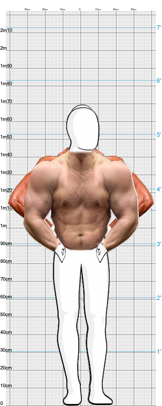 Full Size Comparison
