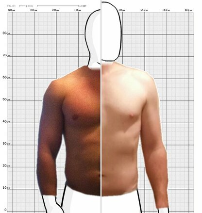 Torso Comparison