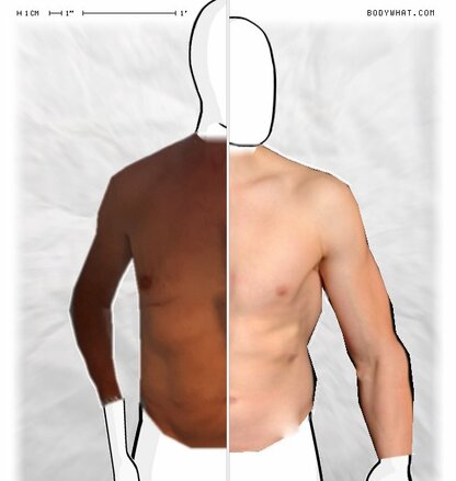 Torso Comparison
