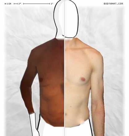 Torso Comparison