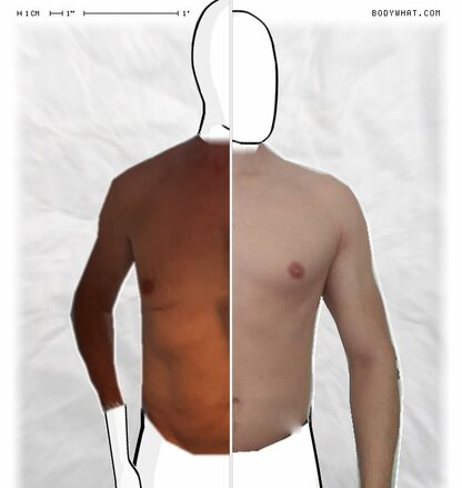Torso Comparison