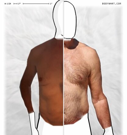 Torso Comparison