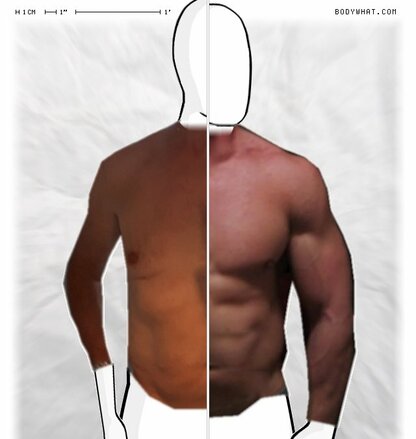 Torso Comparison