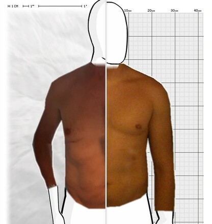 Torso Comparison