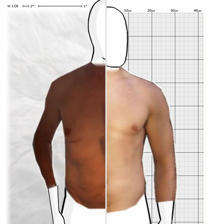 Torso Comparison