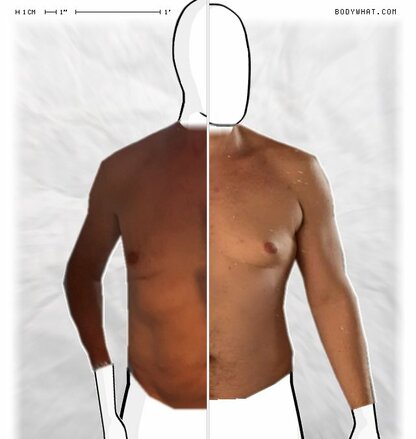 Torso Comparison