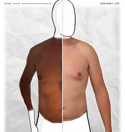 Torso Comparison