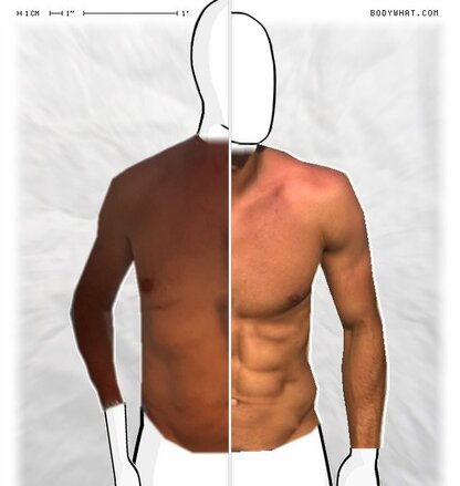 Torso Comparison