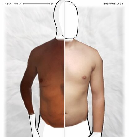 Torso Comparison