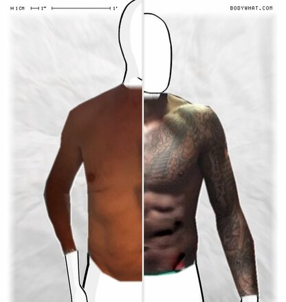 Torso Comparison