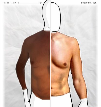 Torso Comparison