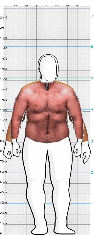 Full Size Comparison