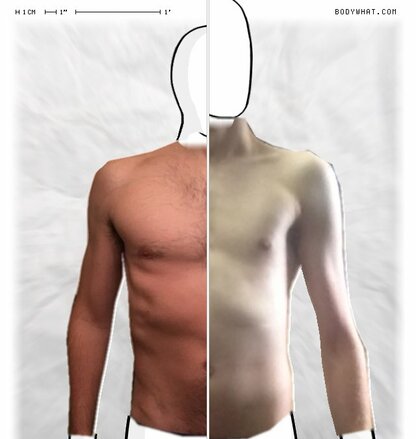 Torso Comparison