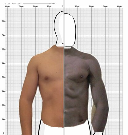 Torso Comparison