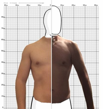 Torso Comparison