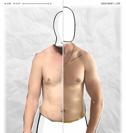 Torso Comparison