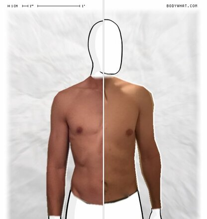 Torso Comparison