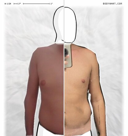 Torso Comparison